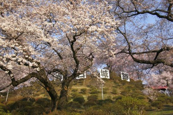 Kasuga Park-伊那市必去景点