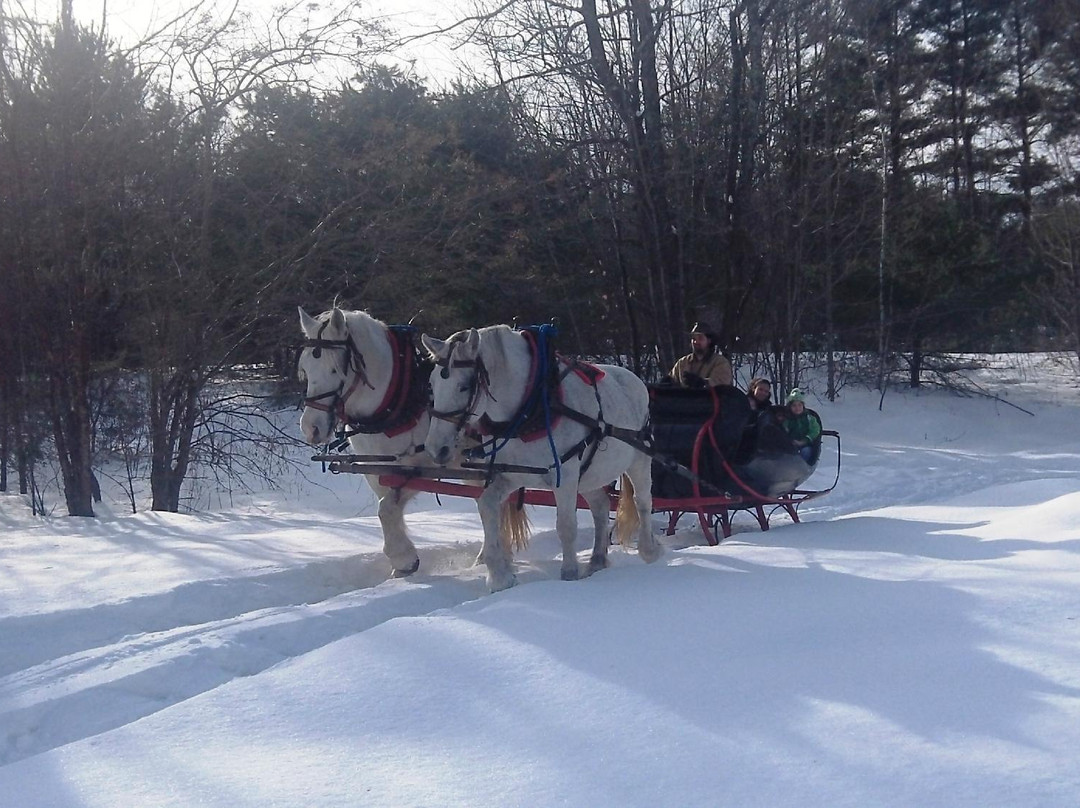 Fireside Sleigh Rides-北康威必去景点