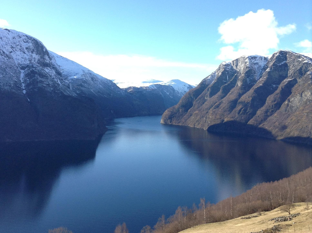 FjordSafari-弗洛姆必去景点