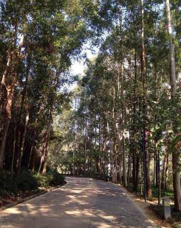 狐尾山气象主题公园-厦门市必去景点