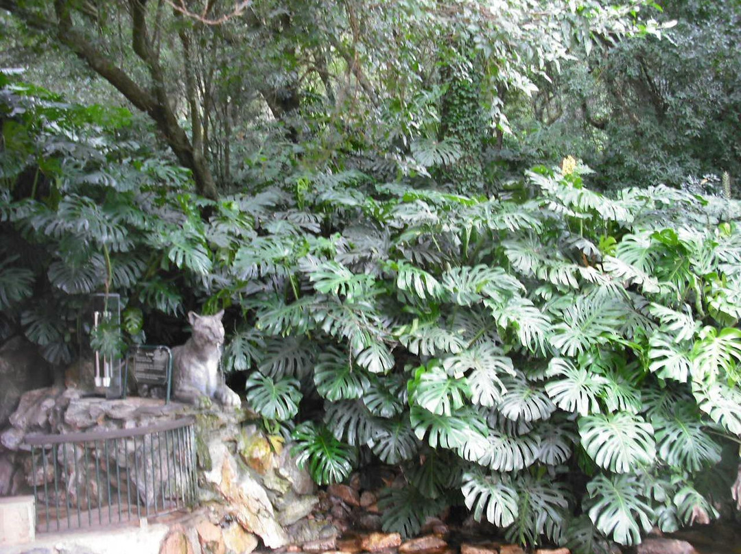 Salus' Park-Minas必去景点