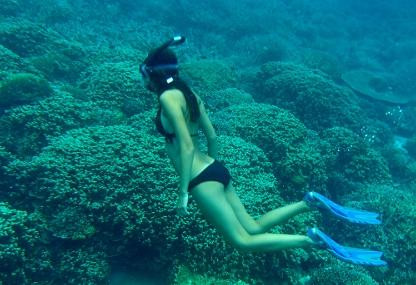 热带研究与保护中心-仙本那必去景点