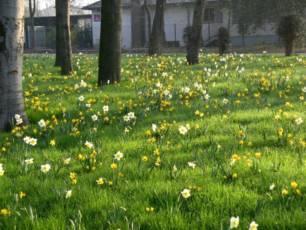 Stadtpark Uerdingen景点图片
