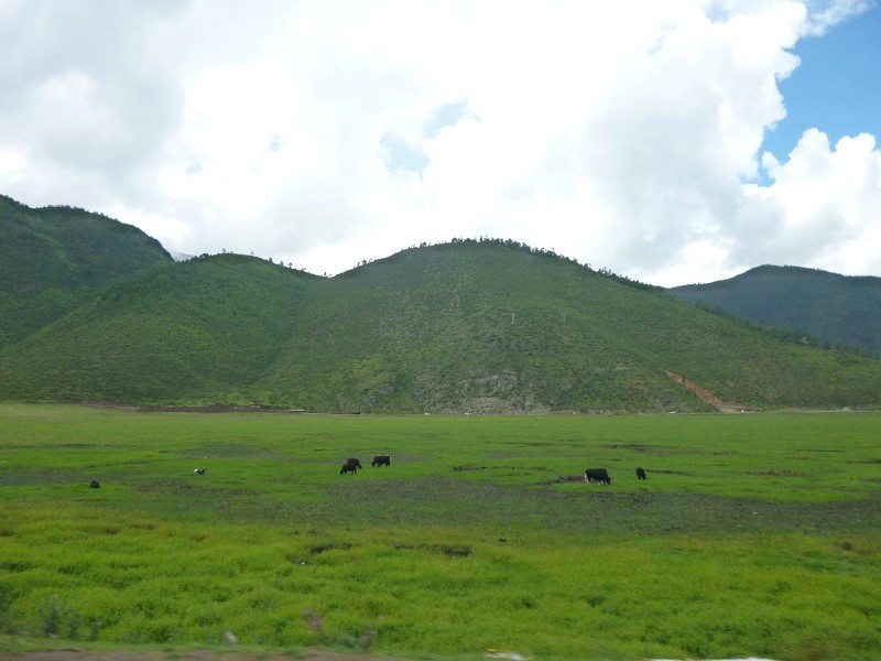 纳帕海自然保护区-香格里拉县必去景点