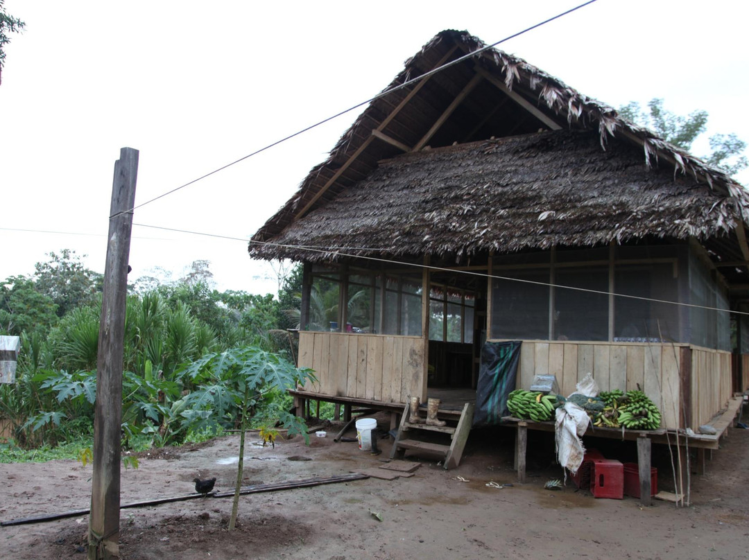 Casa Hospedaje El Gato