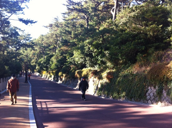 APEC Naru Park-釜山必去景点