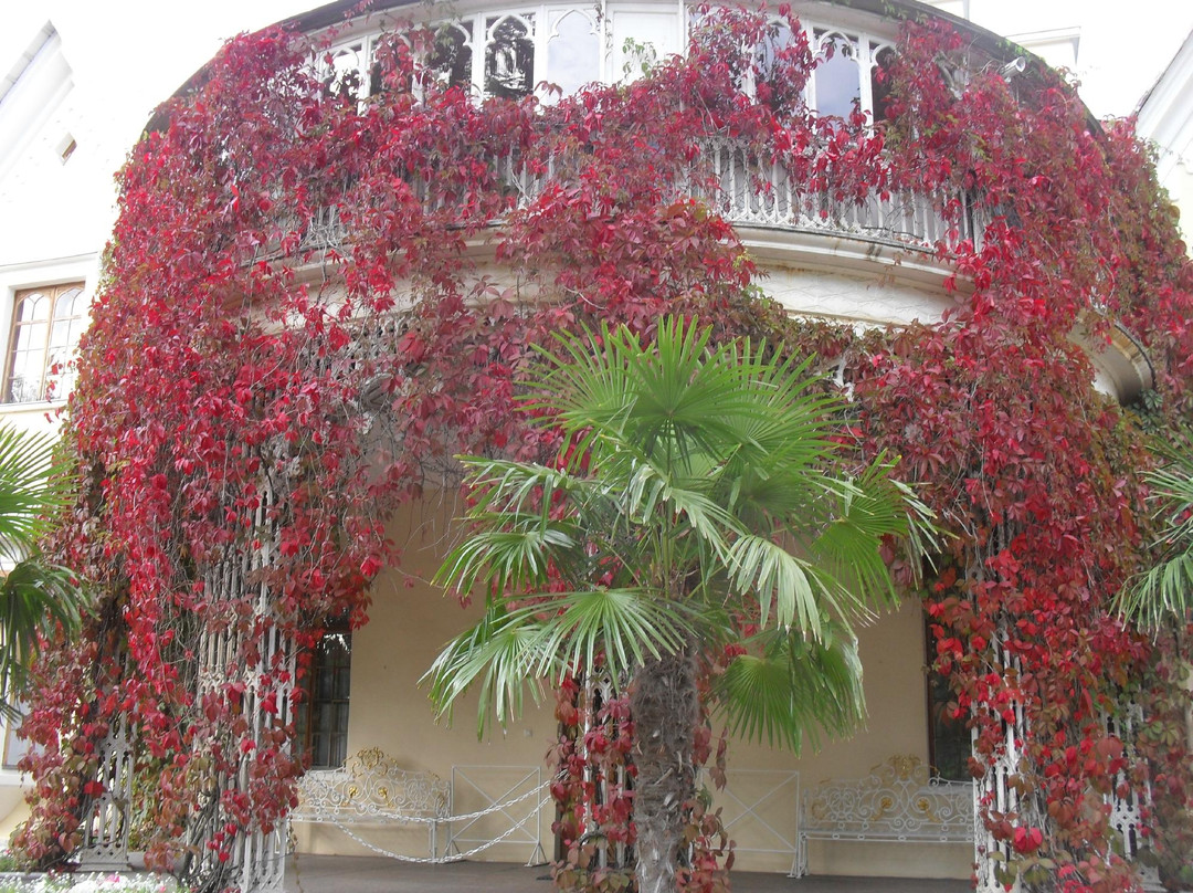 Cottage Palace景点图片