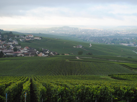 France Bubbles Tours-兰斯必去景点