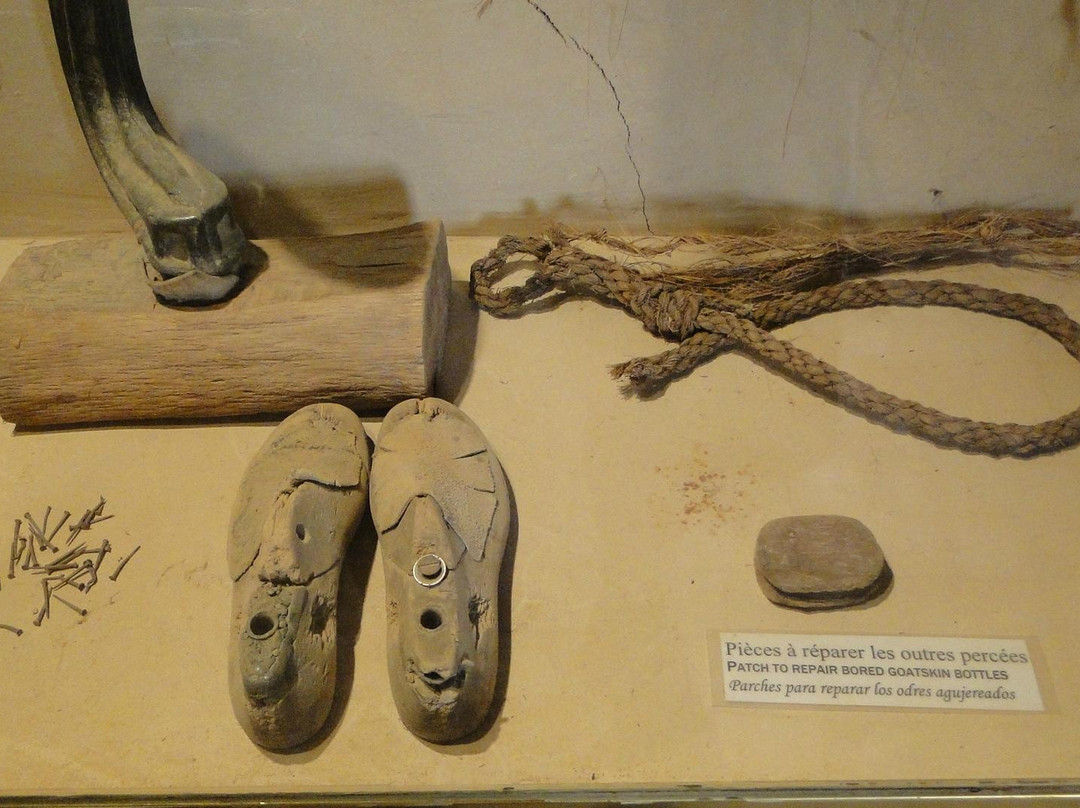 The Oasis Museum-Tinejdad必去景点