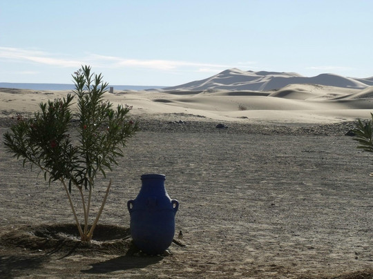 Etoile des Dunes Merzouga主图
