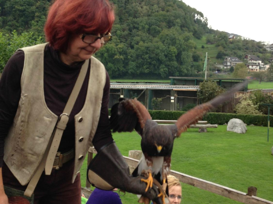 Greifvogelpark Buchs-Buchs St. Gallen必去景点