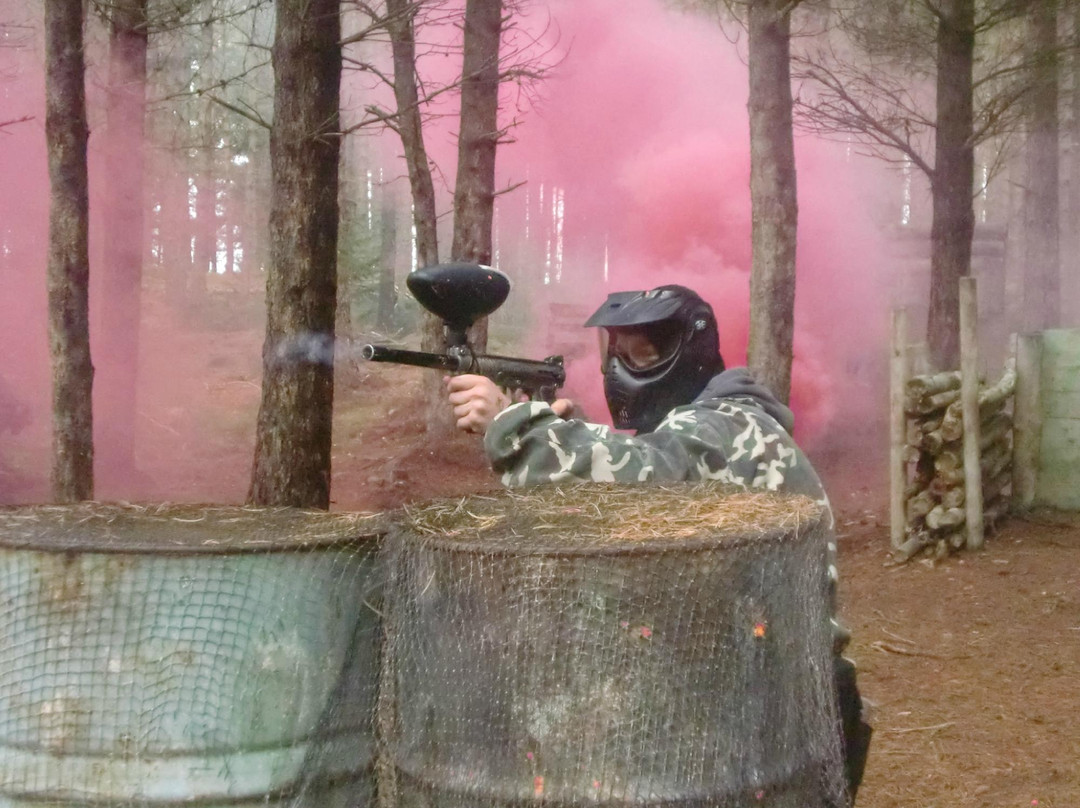 MonkeyFace Combat景点图片