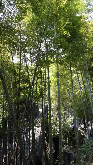 杜甫祠-耒阳市必去景点