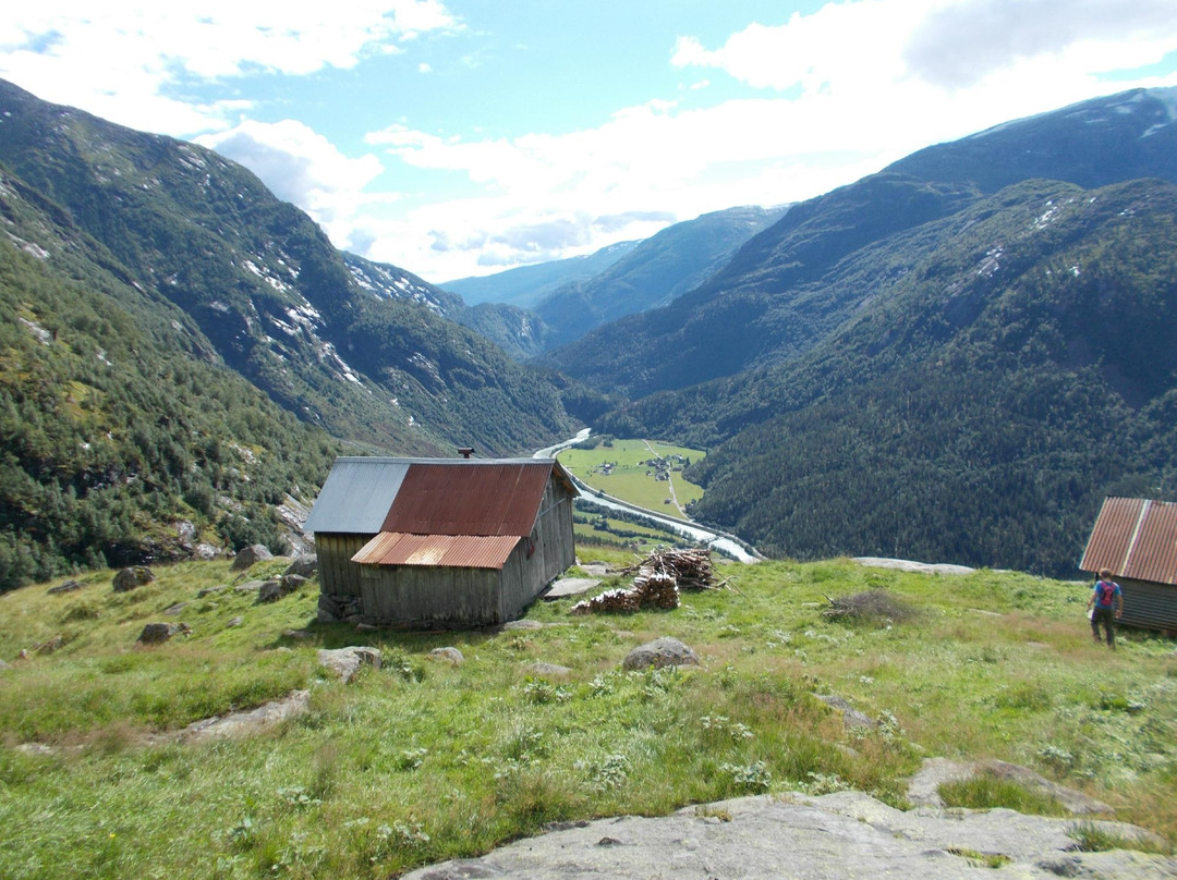 Jostedalen Breforarlag Day Tours景点图片