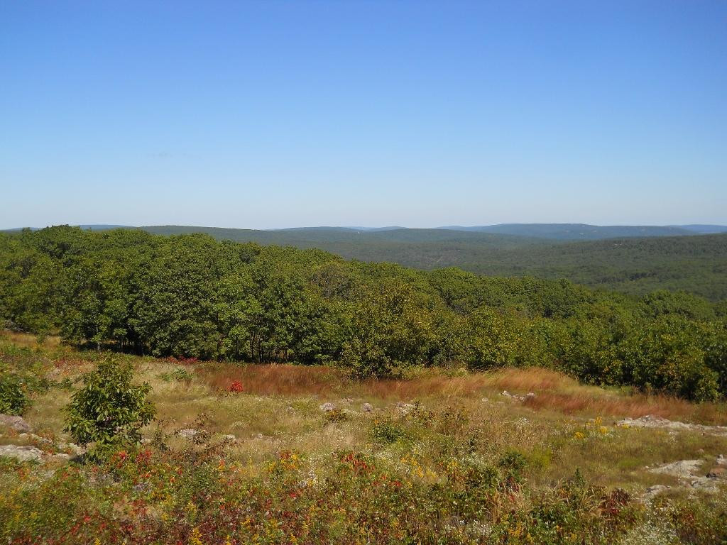 Taum Sauk Mountain State Park景点图片
