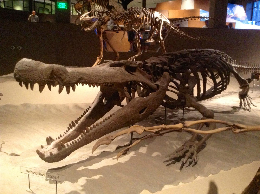 犹他州自然历史博物馆-盐湖城必去景点