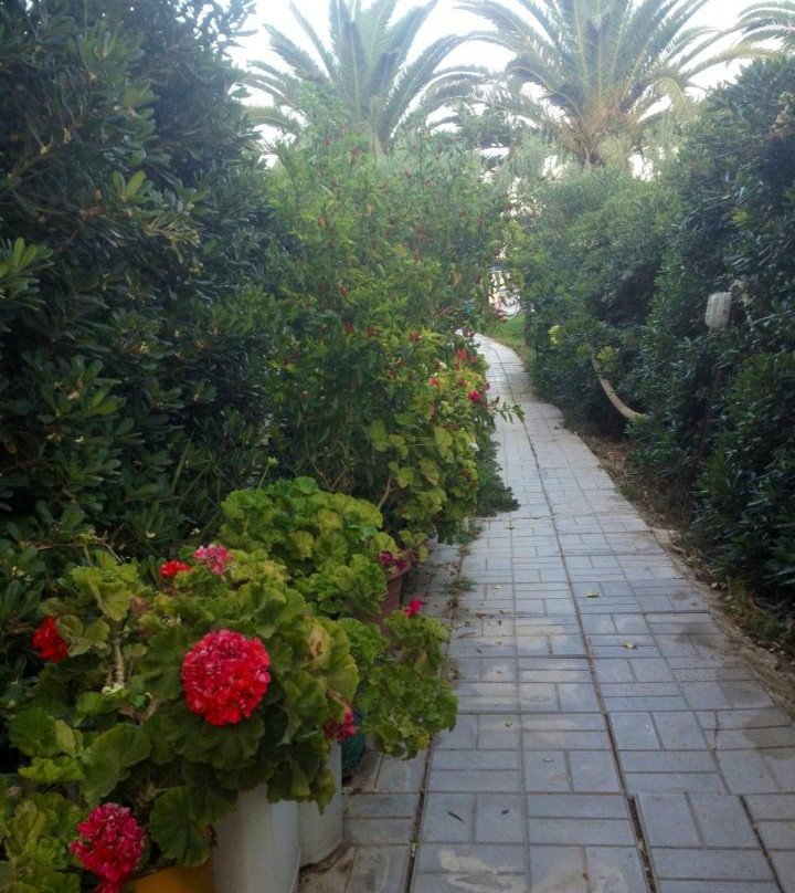 Imperial Studios主图