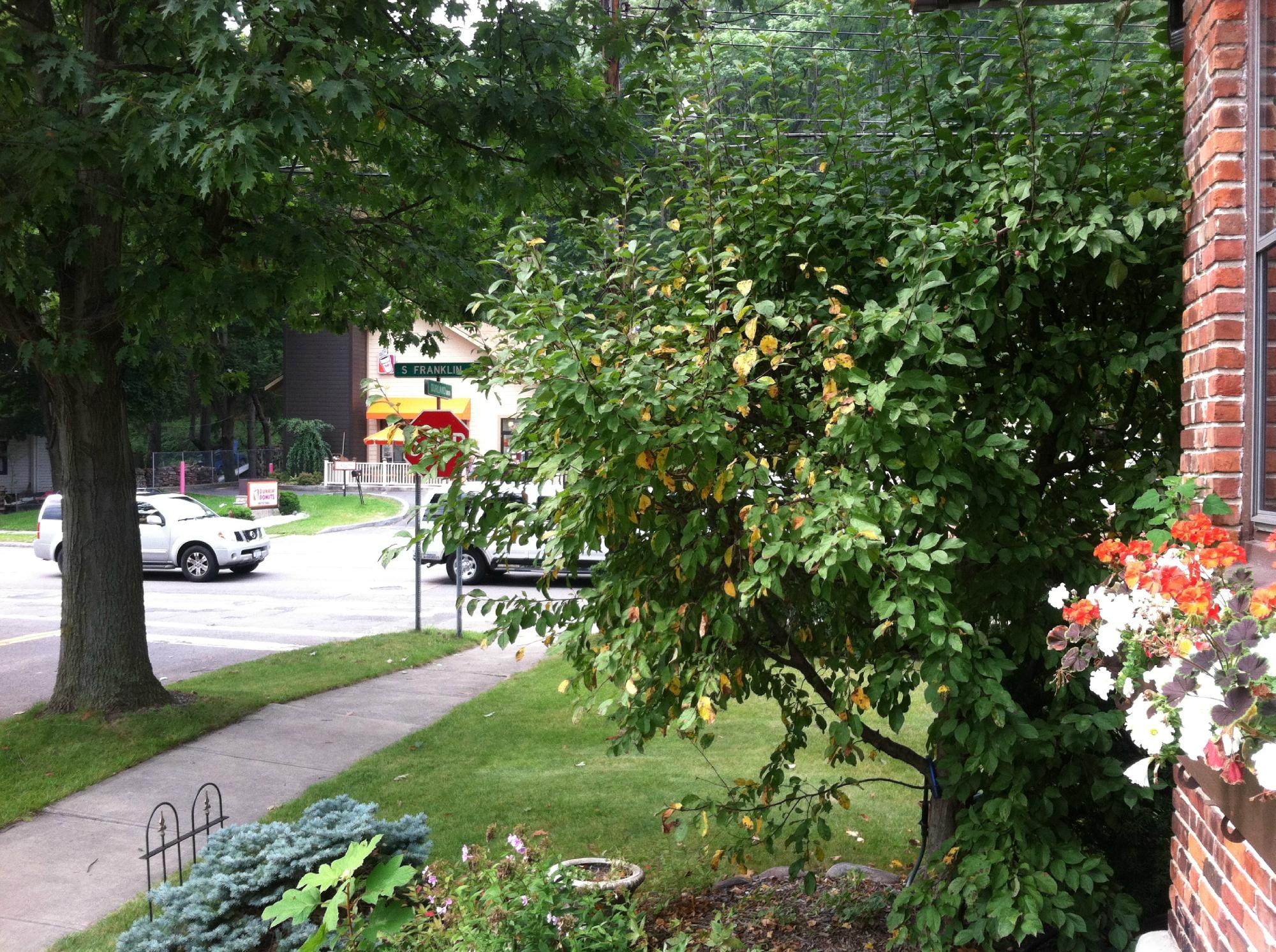 The Tudor Rose Bed & Breakfast-客卧