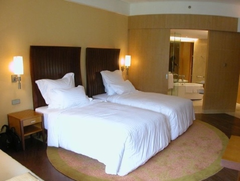 上海佘山茂御臻品之选酒店-客卧