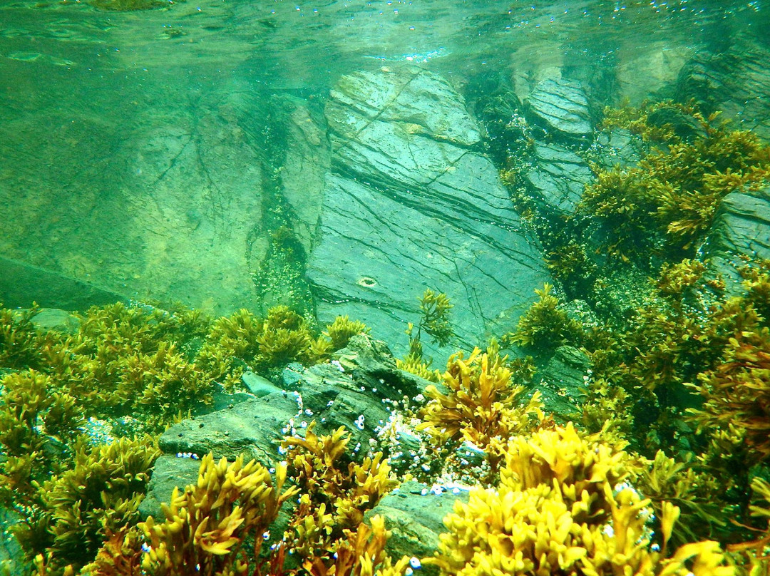 Snorkel Alaska-凯奇坎必去景点