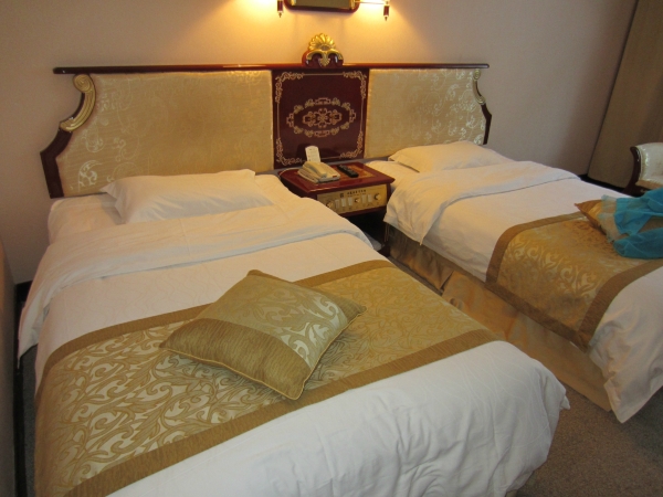 星宇国际大酒店（九寨沟景区店）-客卧