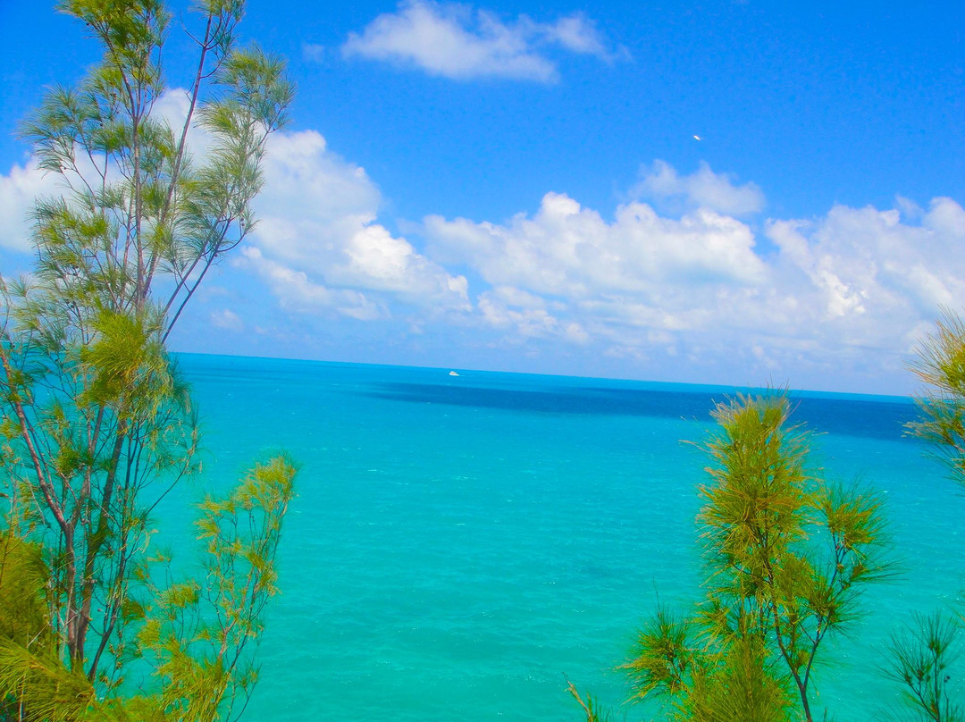 Admiralty House Park-汉密尔顿必去景点