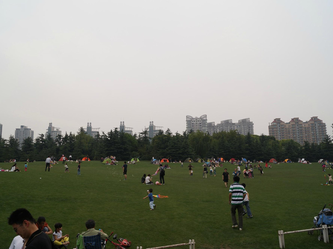 世纪公园-上海市必去景点