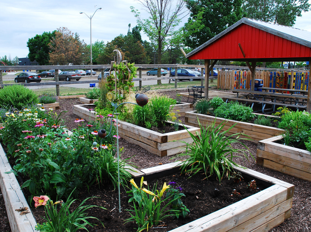 Donald M. Gordon Chinguacousy Park-布兰普敦必去景点