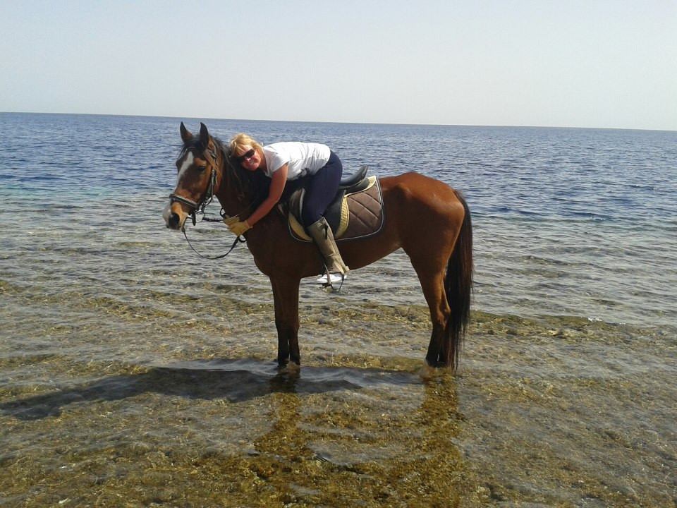 Gamila Stable Club Horse and Camel Riding-马卡迪湾必去景点