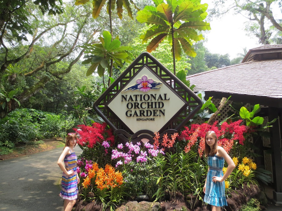 国家兰花园-新加坡必去景点