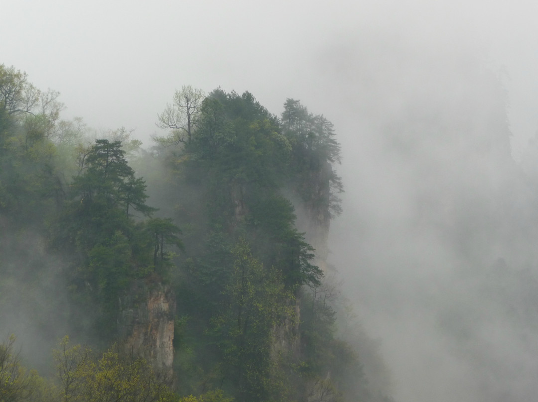 天子山云海-张家界市必去景点