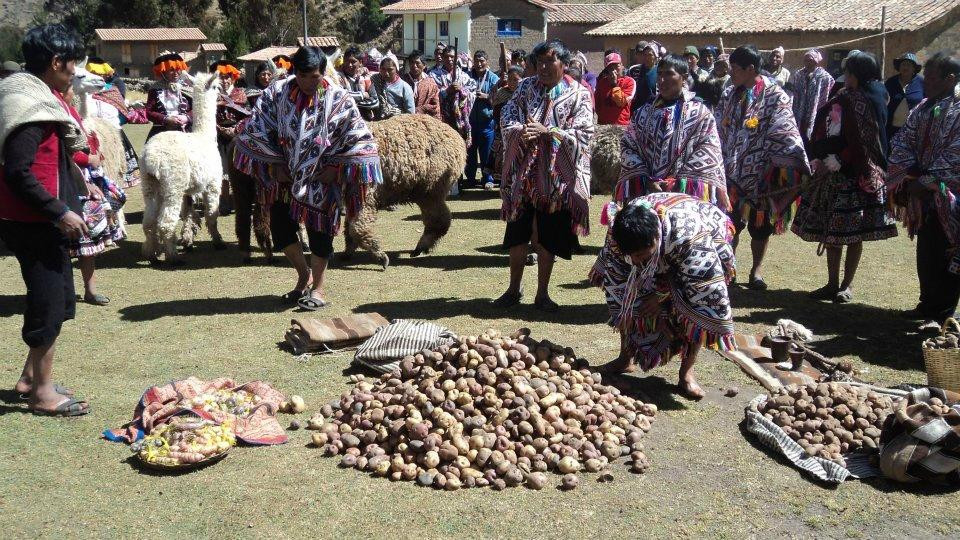 Potato Park-Pisac必去景点