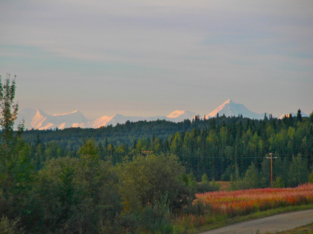 Moose on the Loose B & B主图