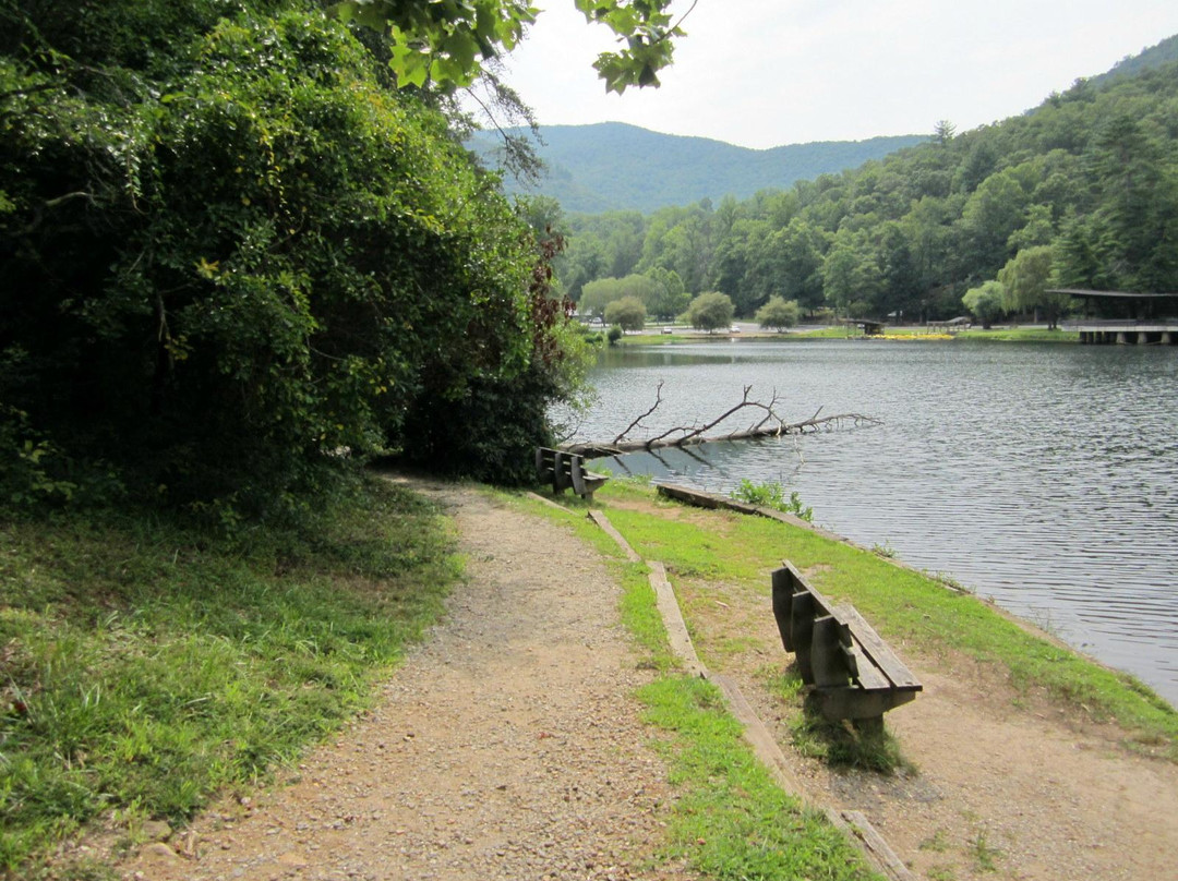 Vogel State Park Campground