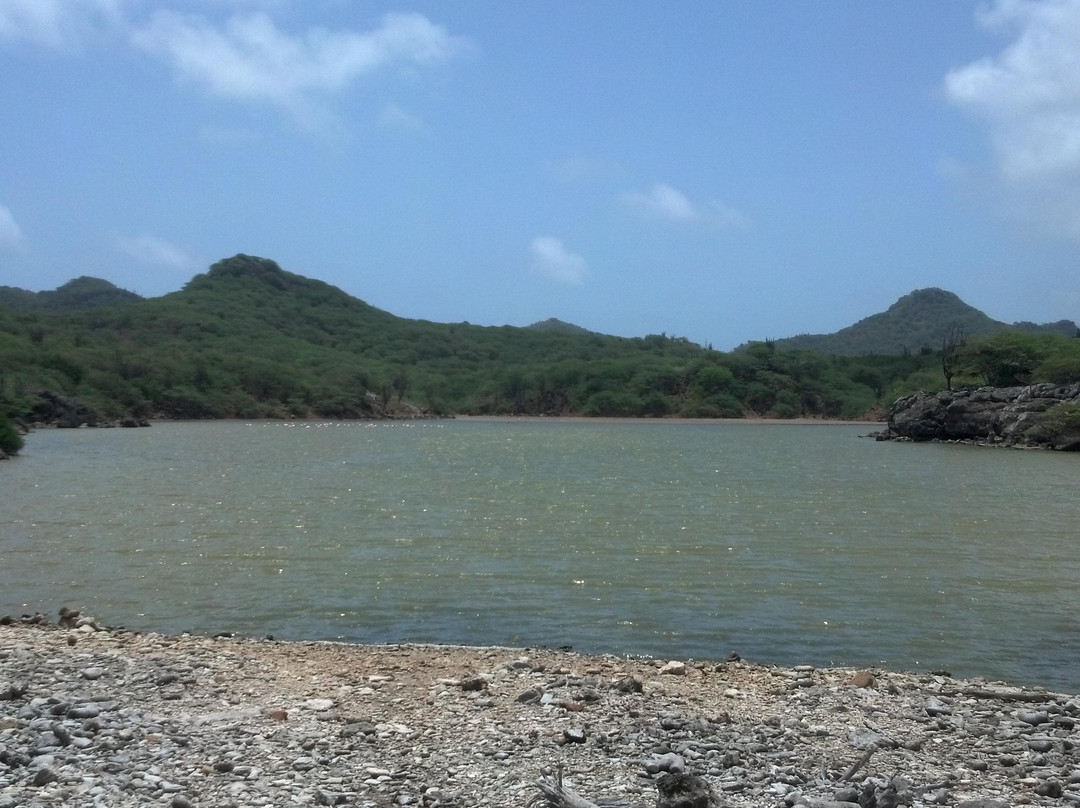 Playa Funchi-Washington-Slagbaai National Park必去景点