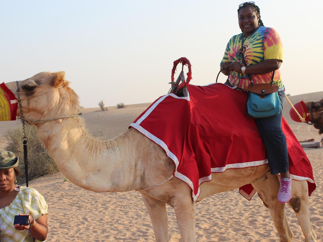 Dubai Desert Safari Tours-迪拜必去景点