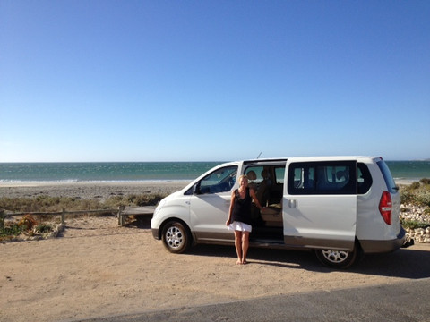 Camino Wine Tours-斯泰伦博斯必去景点