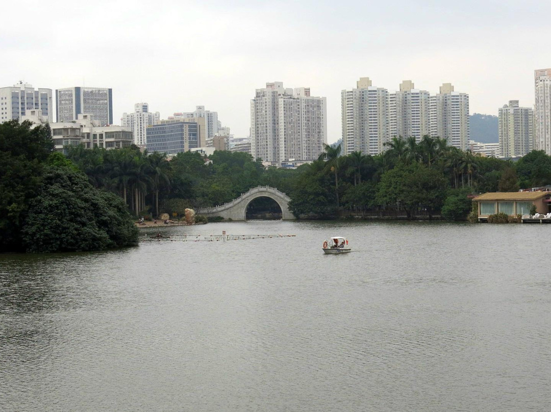荔枝公园-深圳市必去景点