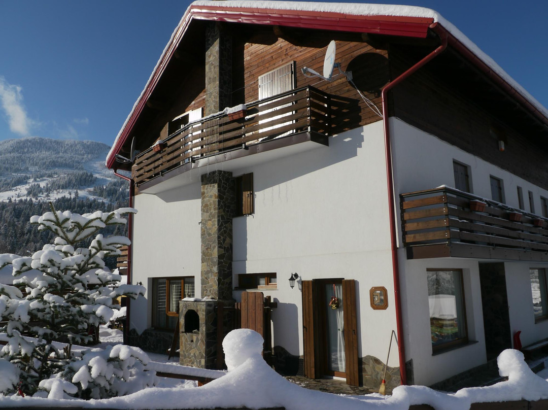 Valea Mare旅游攻略图片