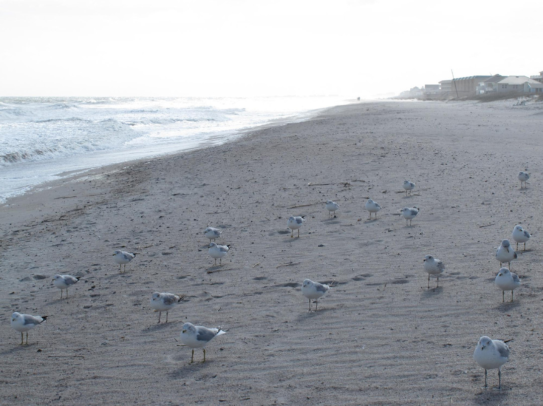 Main Beach-阿米莉亚岛必去景点