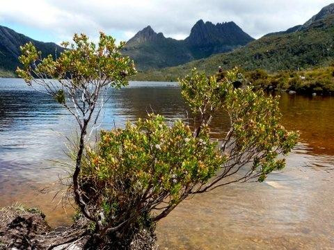 鸽子湖环湖步道景点图片