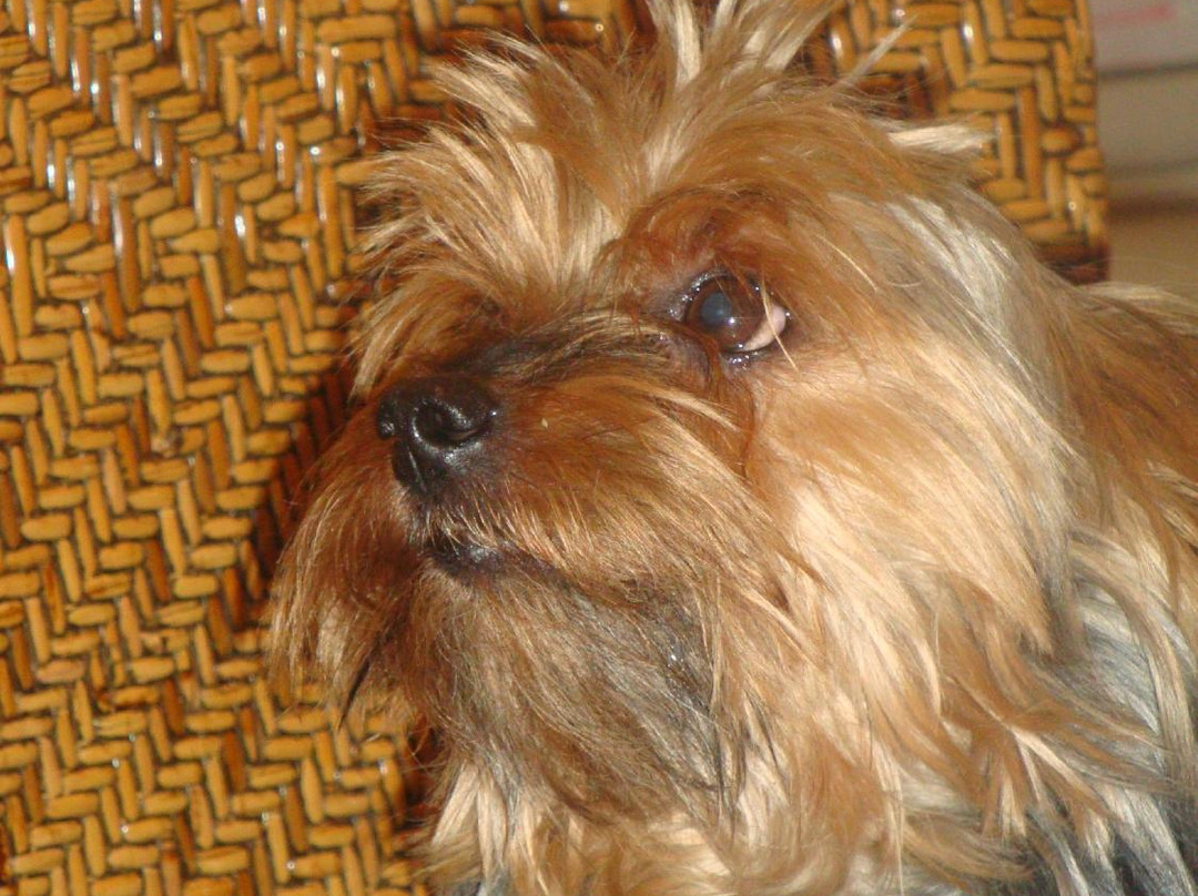 Bar Restaurant La Plage主图