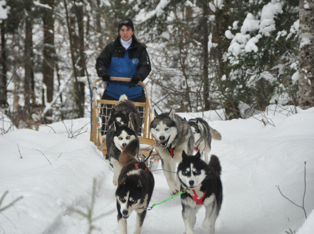Aventure du Husky-Labelle必去景点