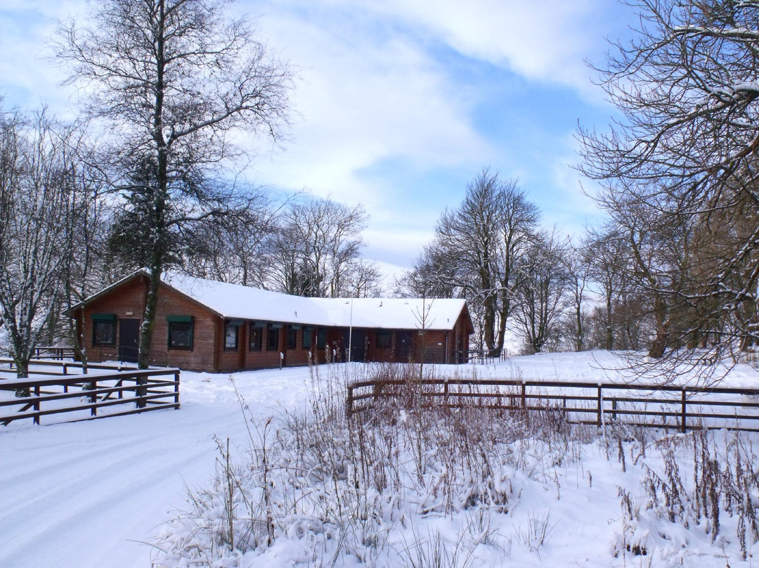Muirshiel Visitor Centre & Country Park景点图片