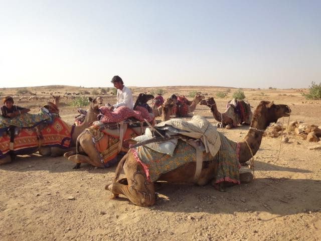 Sahara Travels Day Tours景点图片