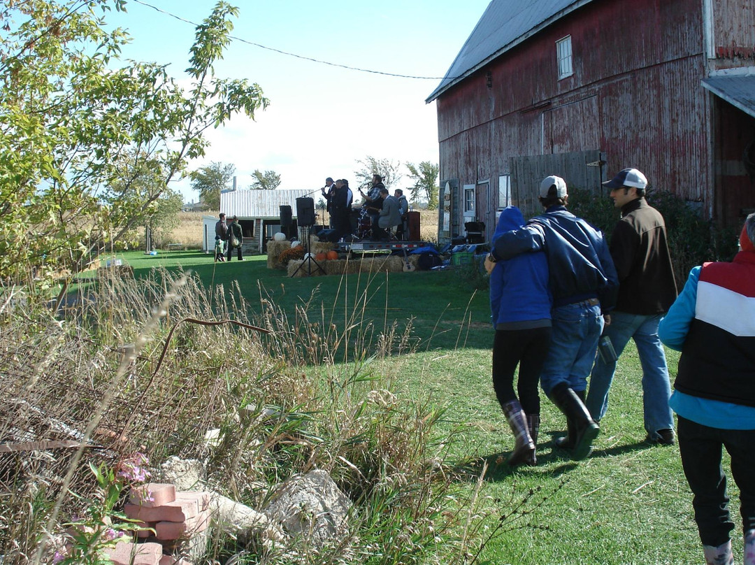 Wolfe Island Corn Maze景点图片