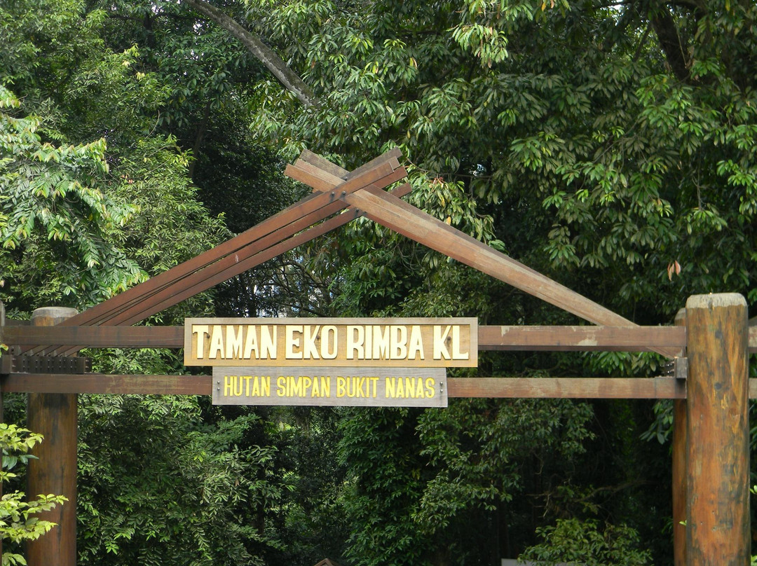 咖啡山森林保护区-吉隆坡必去景点