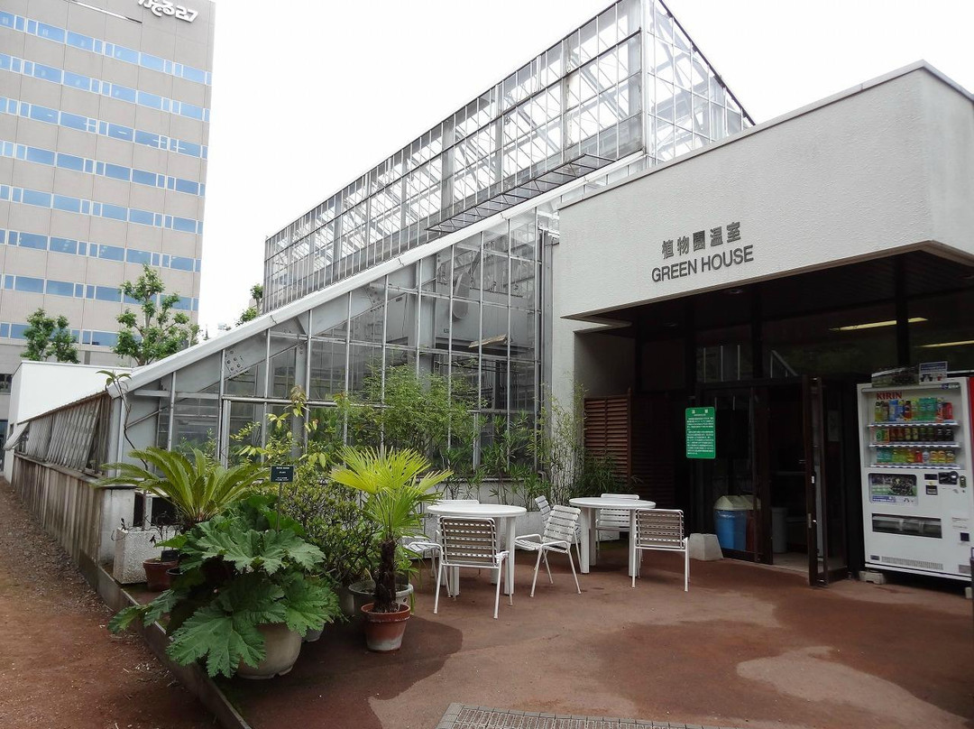 北海道大学植物园-札幌市必去景点