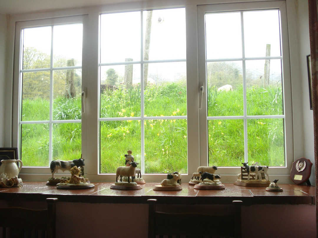 Olchon Cottage Farm