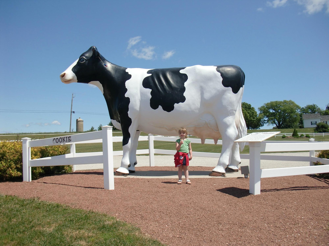 Dairy View-斯特金贝必去景点